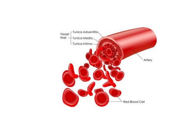 WARFARIN  part  I