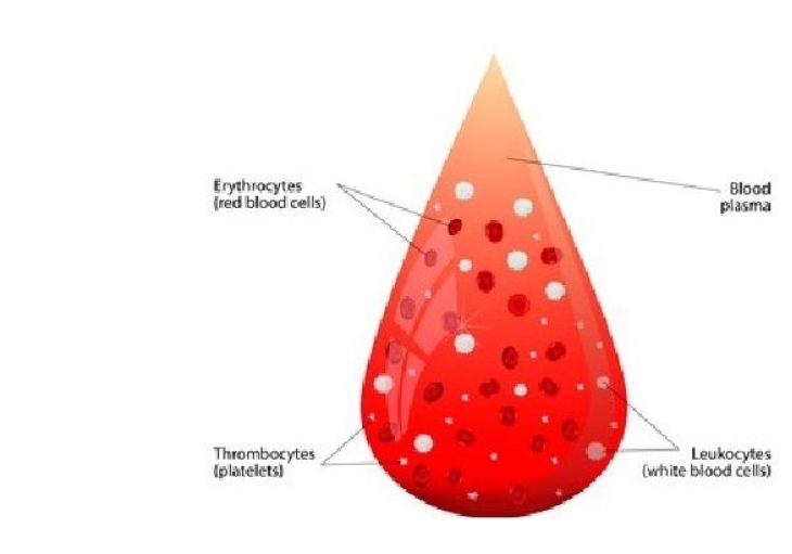 Immune Thrombocytopenia  (ITP) in children